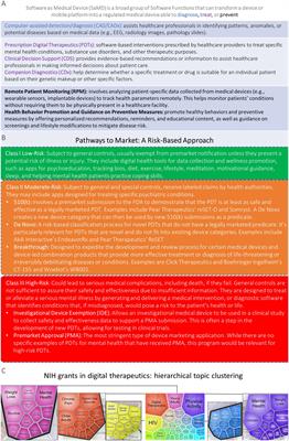 From palm to practice: prescription digital therapeutics for mental and brain health at the National Institutes of Health